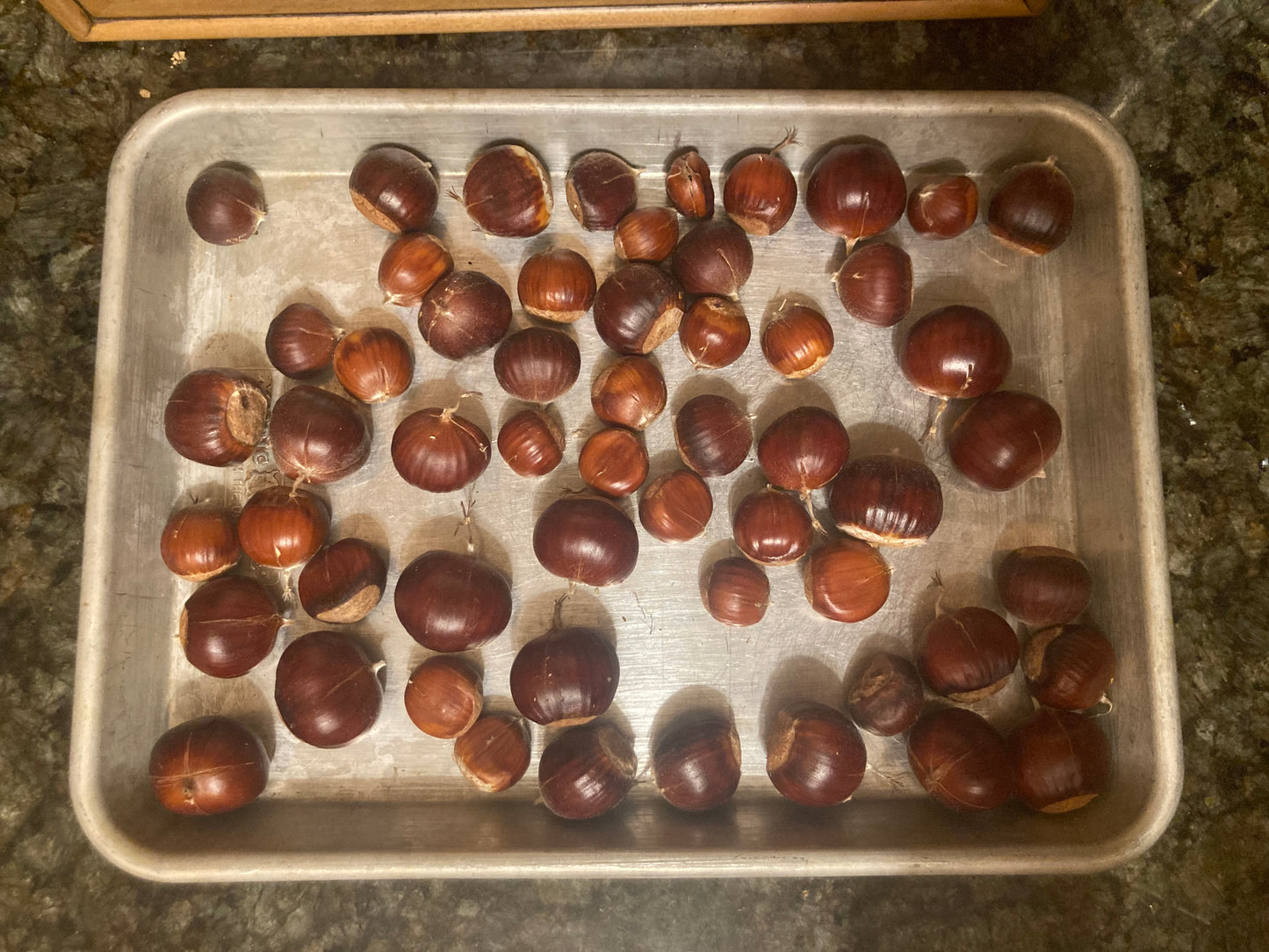 FRESH | Italian Chestnuts