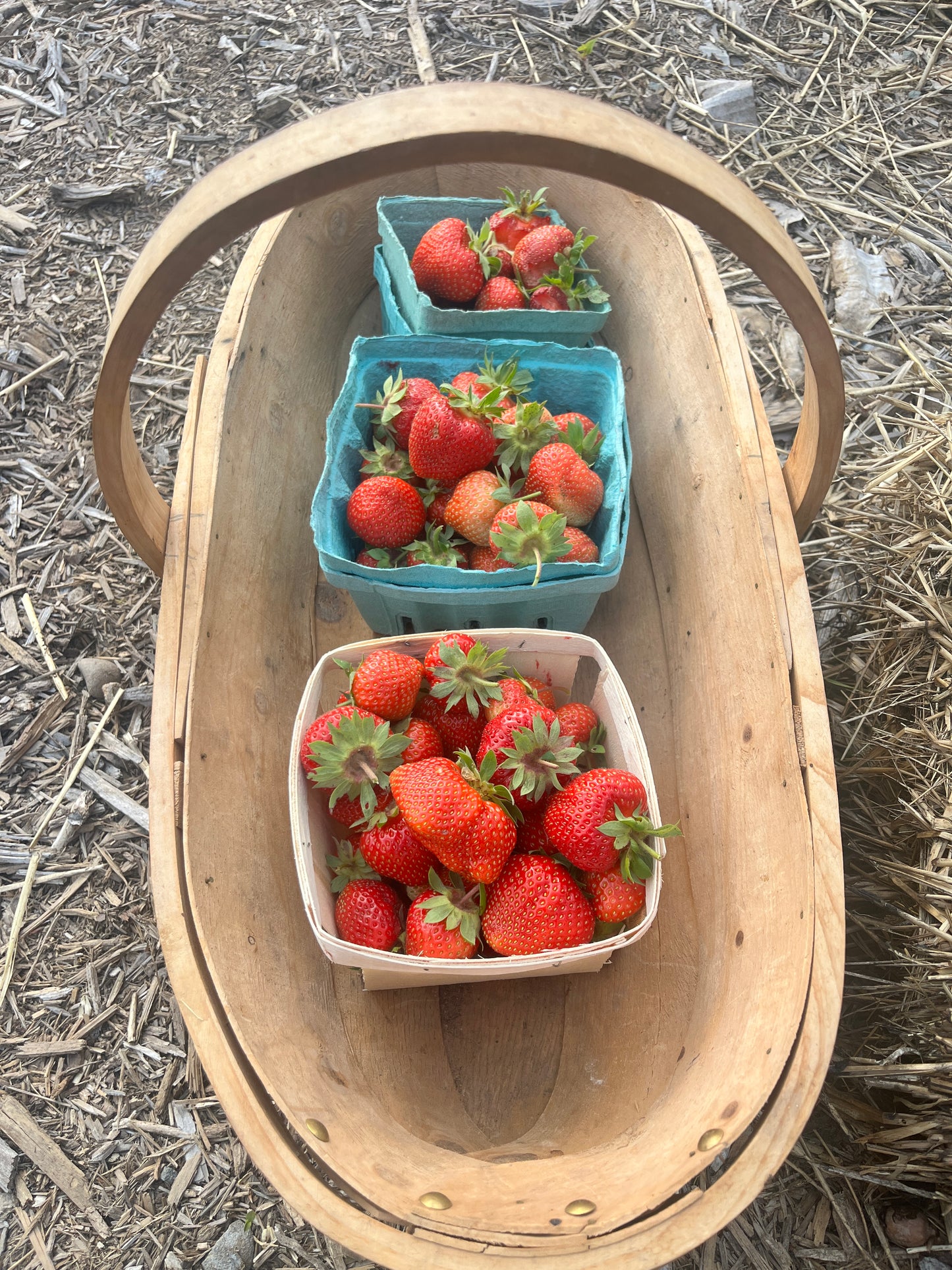 FRESH | Organic Strawberries