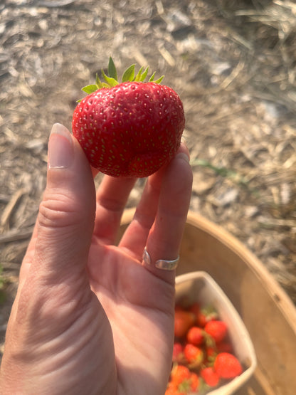 FRESH | Organic Strawberries